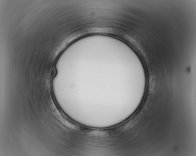 X0000115711033200912031524