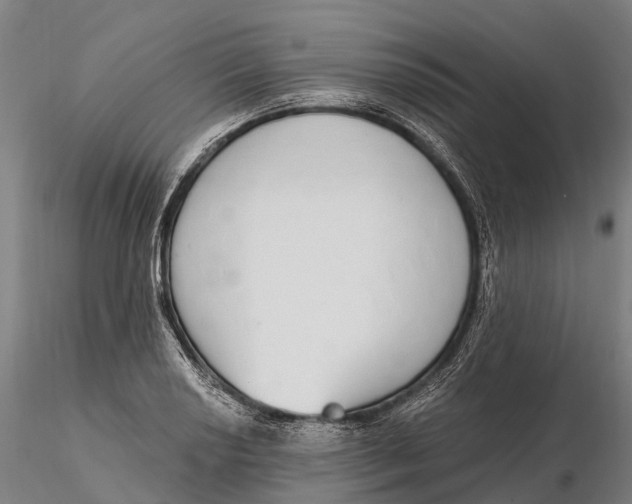 X0000115711034200912031524