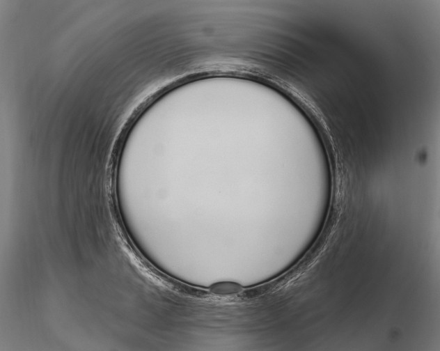 X0000115711037200912031524