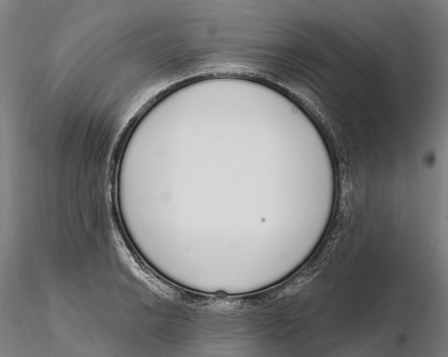 X0000115711038200912031524