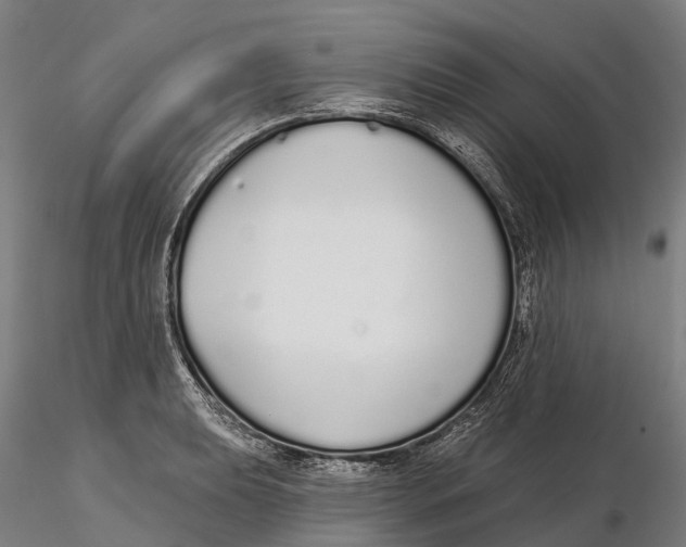 X0000115711039200912031524