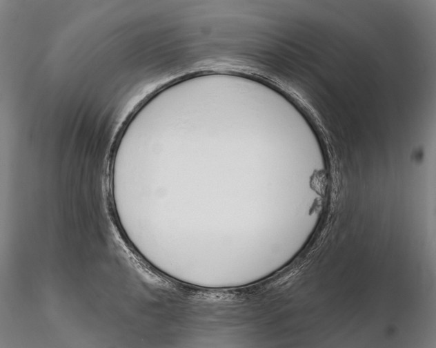 X0000115711040200912031524