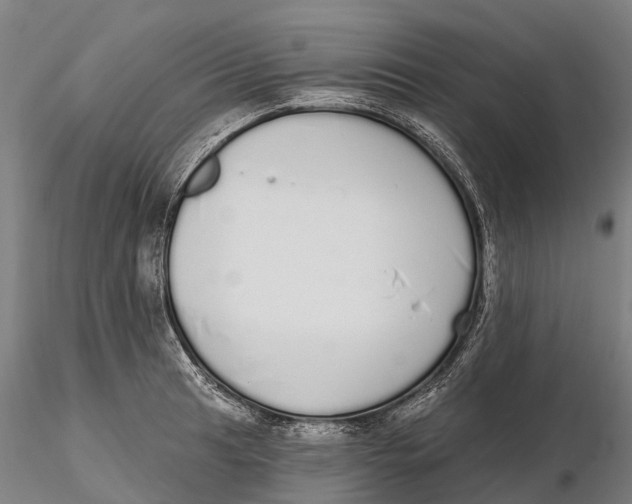 X0000115711041200912031524