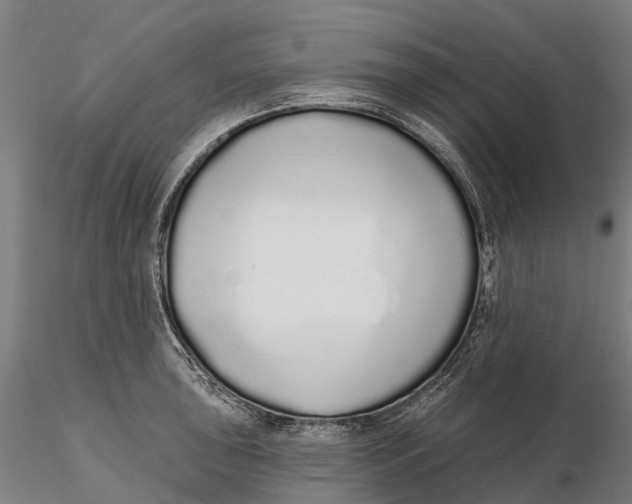 X0000115711043200912031524