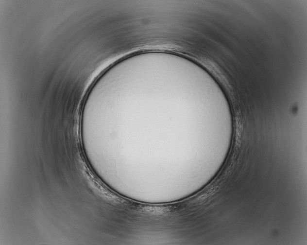 X0000115711044200912031524