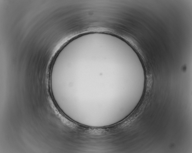 X0000115711046200912031524