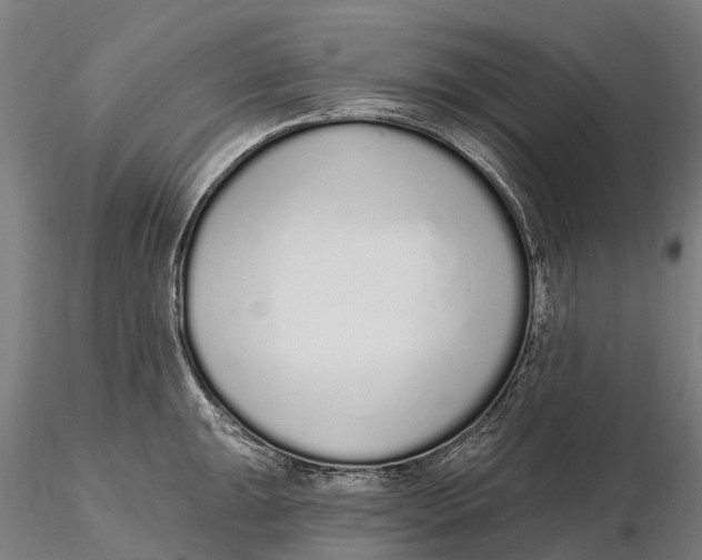 X0000115711047200912031524