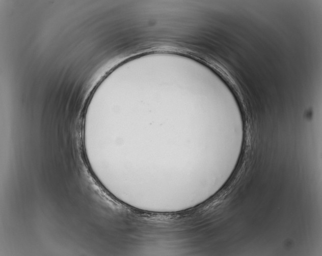 X0000115711048200912031524