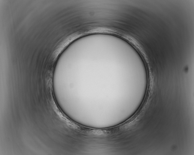 X0000115711049200912031524