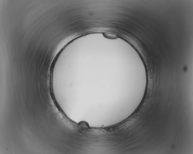 X0000115711050200912031524