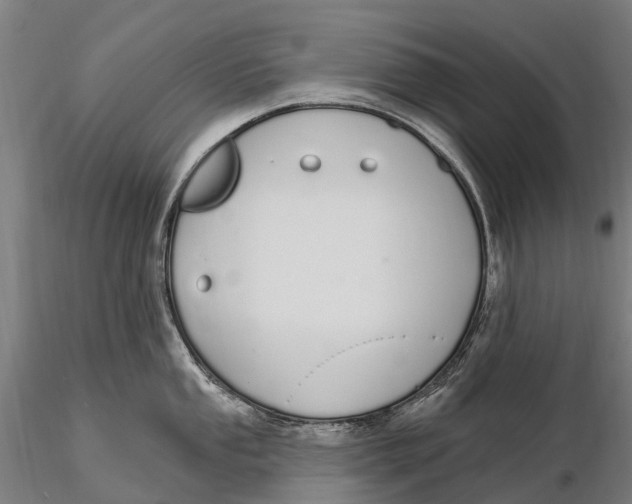 X0000115711053200912031524