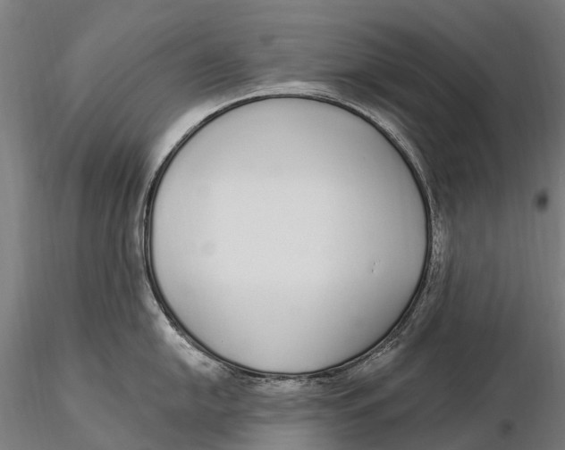 X0000115711054200912031524