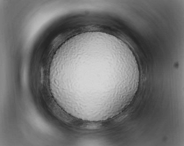 X0000115711055200912031524