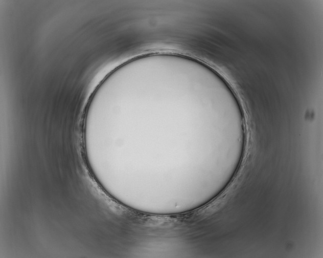 X0000115711056200912031524