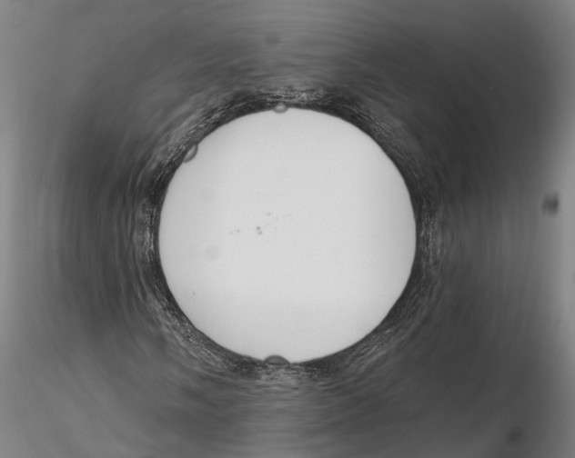 X0000115711058200912031523