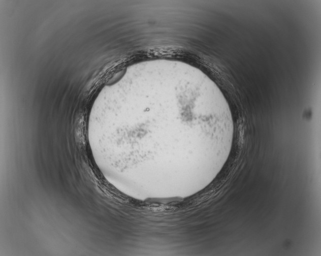 X0000115711060200912031523