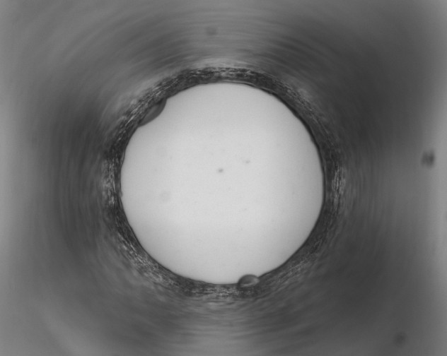 X0000115711062200912031523