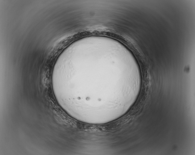 X0000115711063200912031523