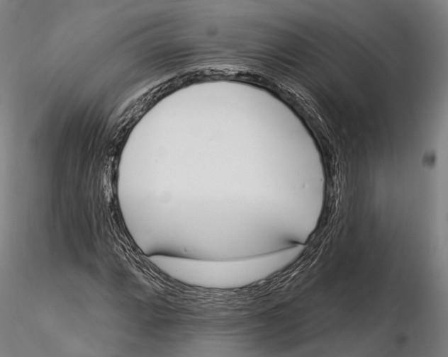 X0000115711064200912031523