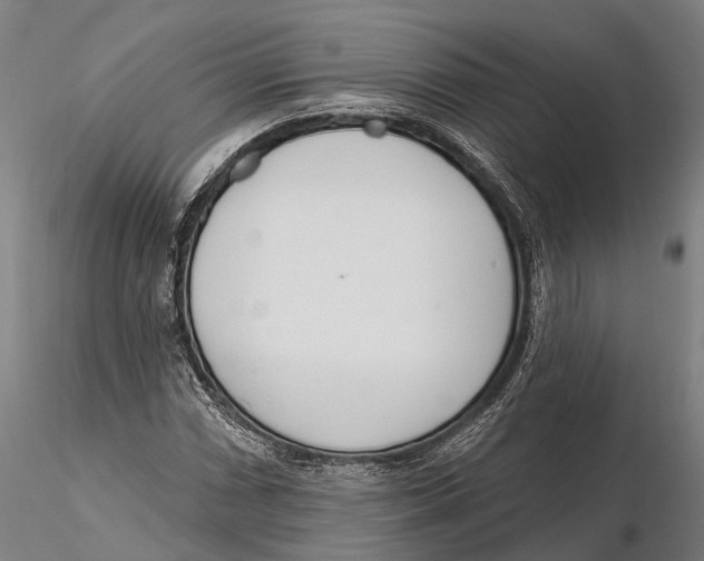 X0000115711066200912031523