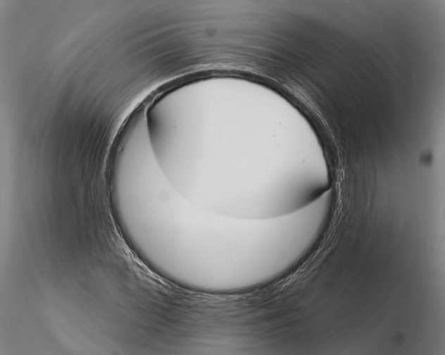 X0000115711068200912031523