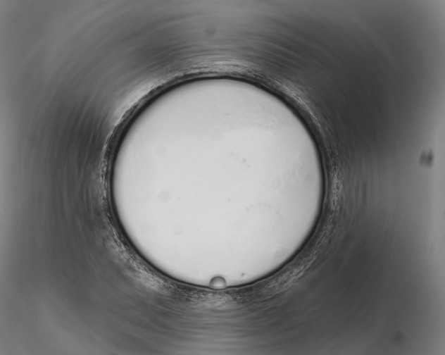 X0000115711071200912031523