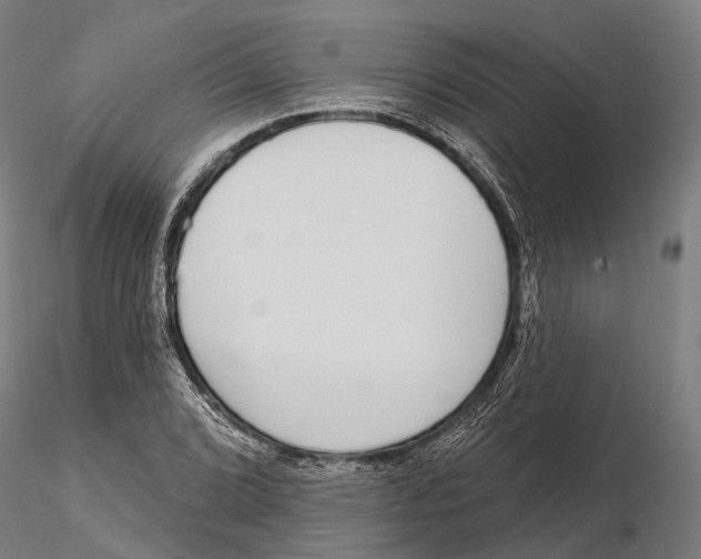 X0000115711072200912031523