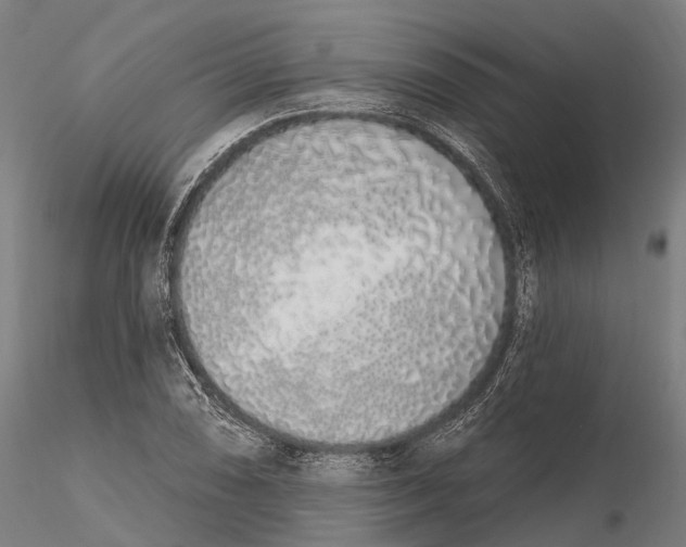 X0000115711074200912031523