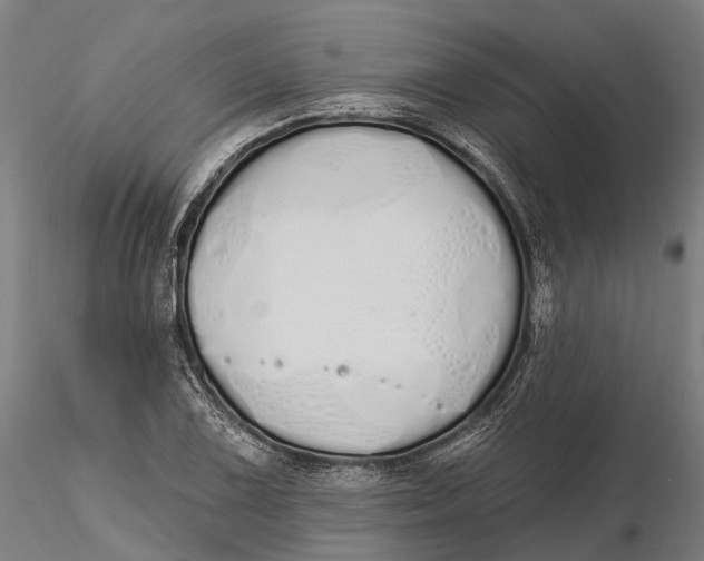 X0000115711075200912031523