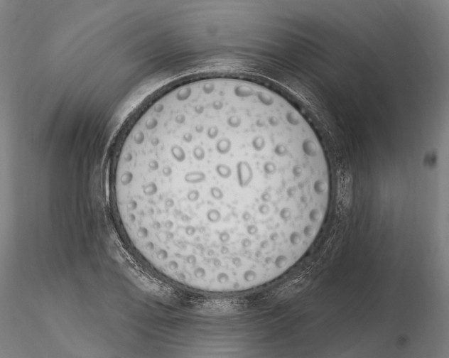 X0000115711078200912031523