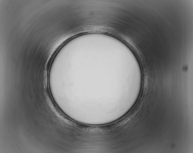 X0000115711079200912031523