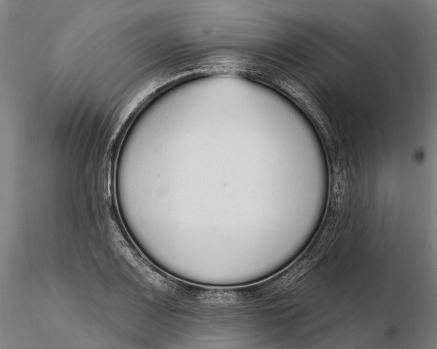 X0000115711083200912031523