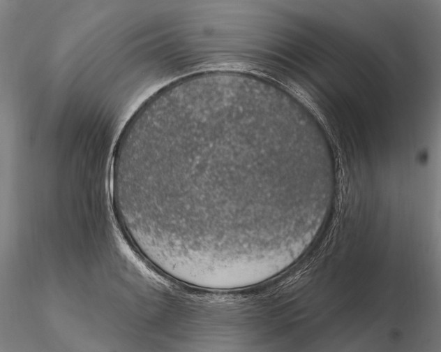 X0000115711084200912031523