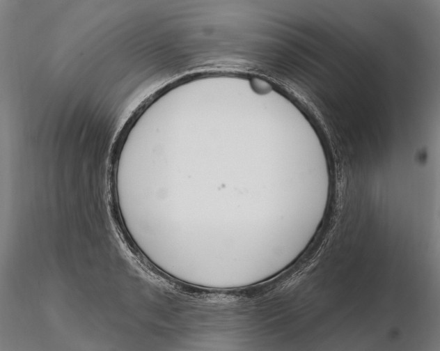 X0000115711085200912031523