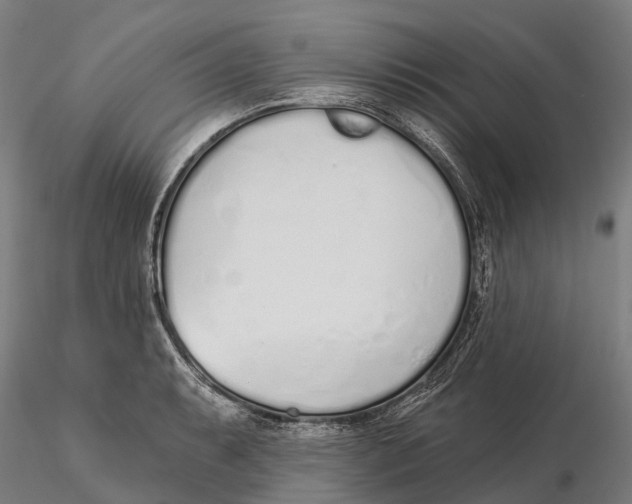 X0000115711087200912031523