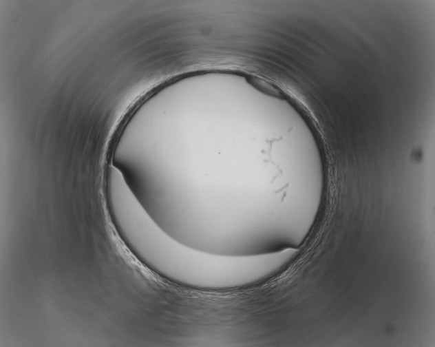 X0000115711088200912031523