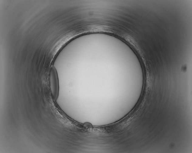 X0000115711089200912031523