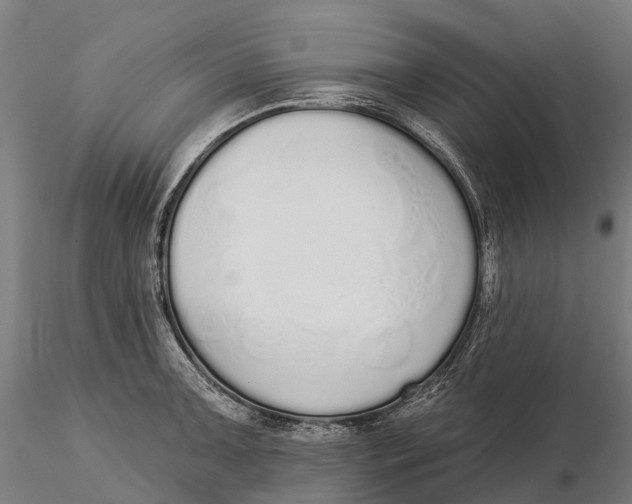 X0000115711091200912031523