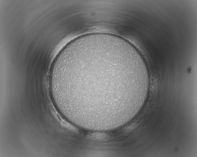 X0000115711094200912031523