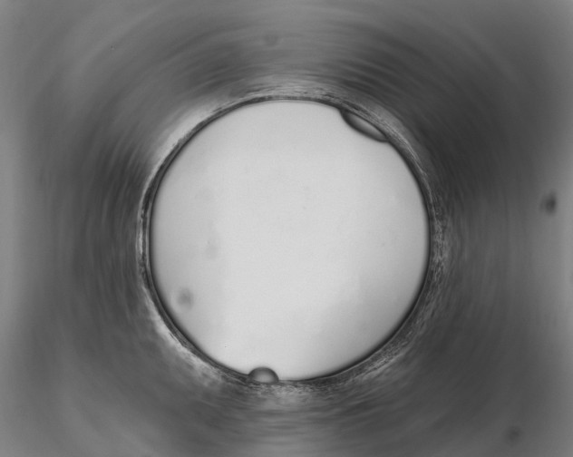 X0000115711095200912031523