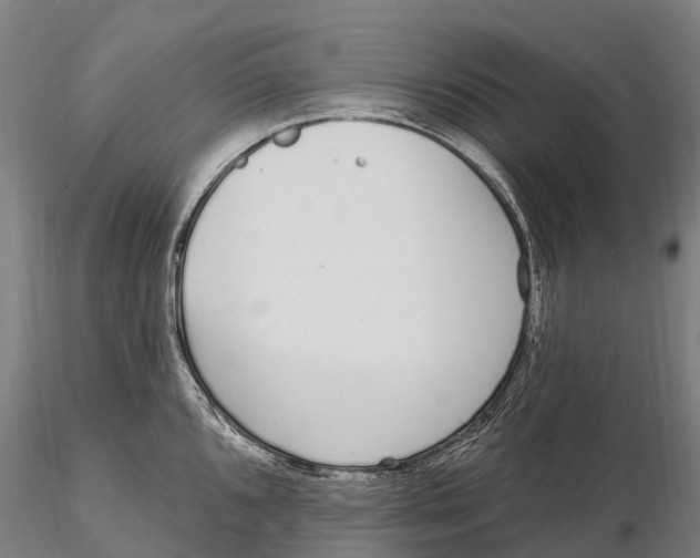 X0000115711096200912031523