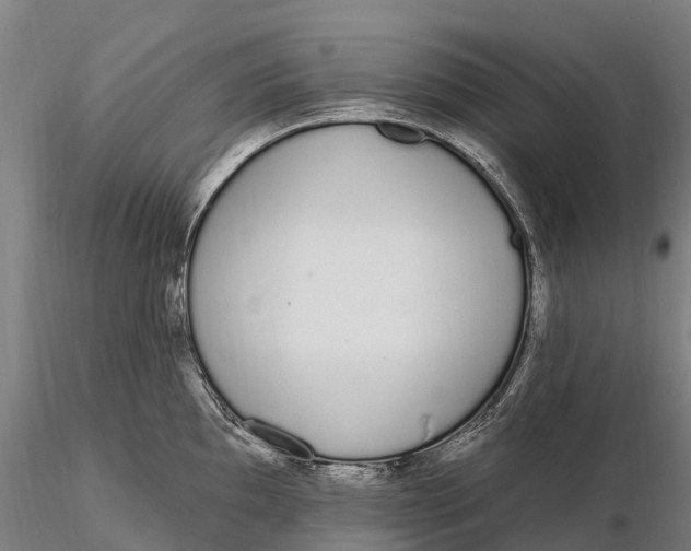 X0000115711097200912031523