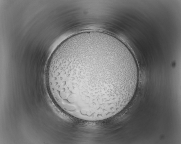 X0000115711098200912031523