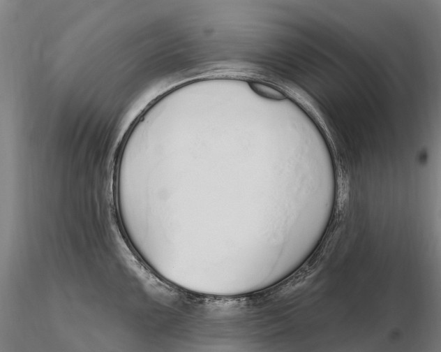 X0000115711099200912031523