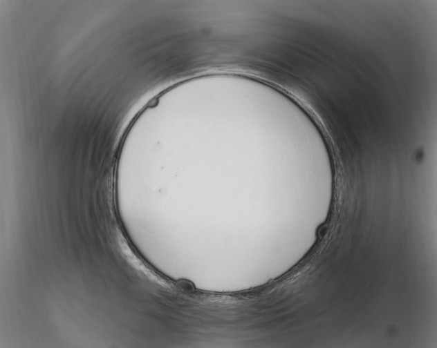 X0000115711100200912031523