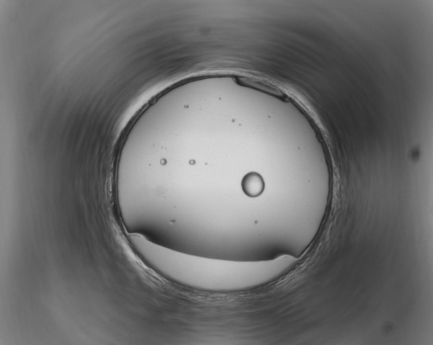 X0000115711101200912031523