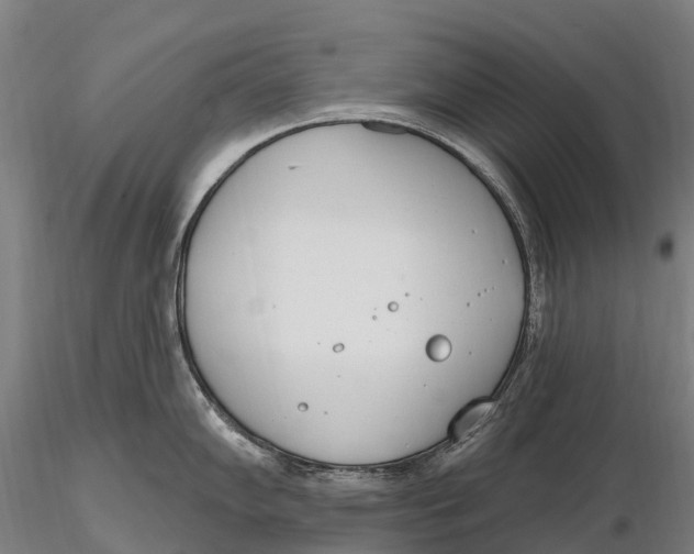 X0000115711102200912031523