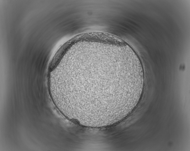 X0000115711104200912031523