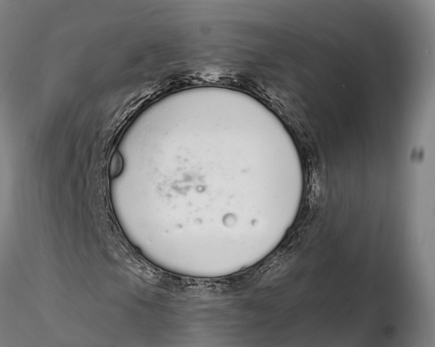 X0000115711105200912031522