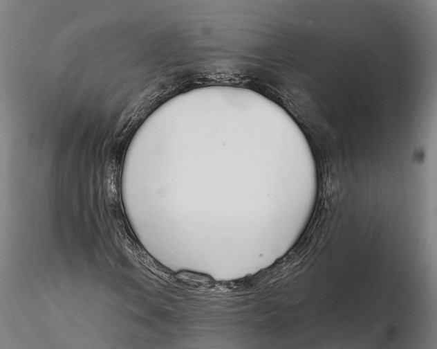 X0000115711106200912031522